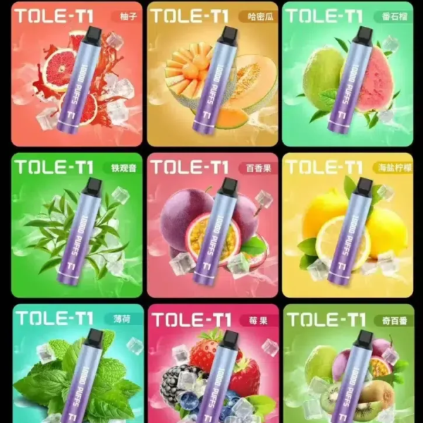 TOLE一次性拋棄式《 10000口 》